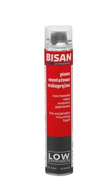 Piana 750ml pistoletowa niskoprężna Bisan SI016